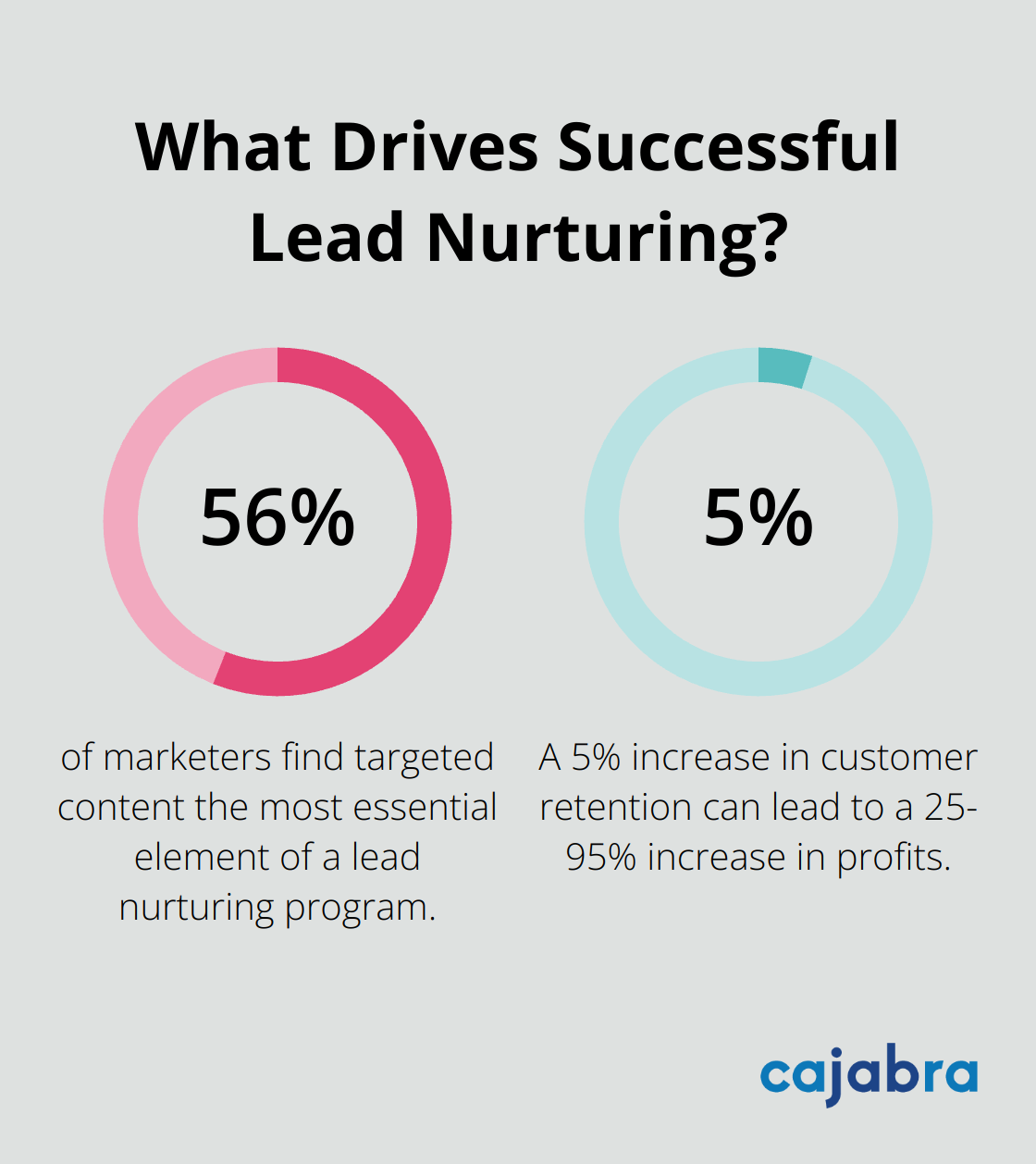 Infographic: What Drives Successful Lead Nurturing?