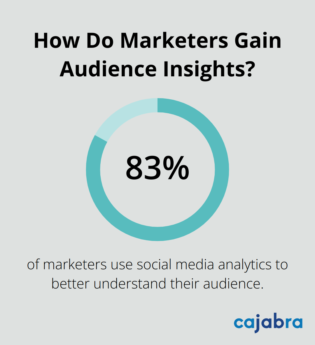 Infographic: How Do Marketers Gain Audience Insights? - social media messaging strategy